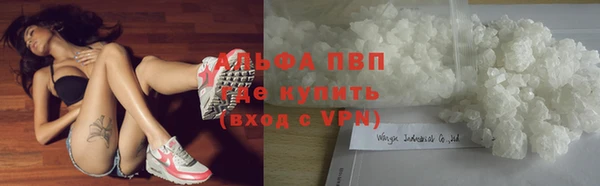 mdma Новозыбков